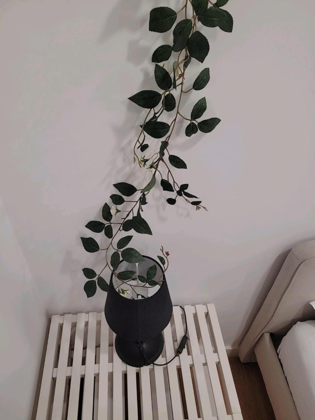 Varanda Privada Iroom Lisboa المظهر الخارجي الصورة