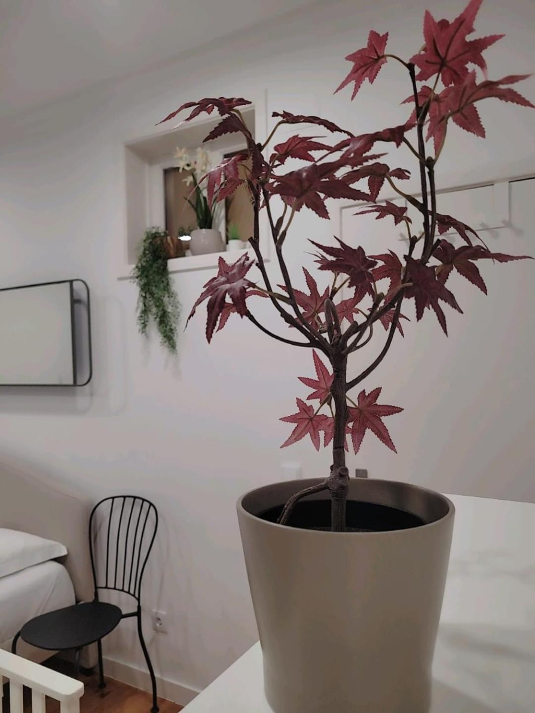 Varanda Privada Iroom Lisboa المظهر الخارجي الصورة